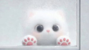 可爱萌宠猫咪