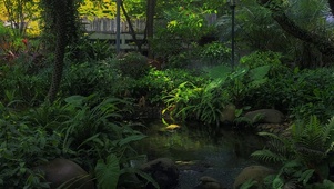 静逸花园