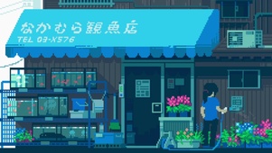 金鱼