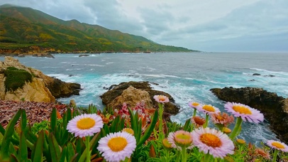 浪漫海滩海浪