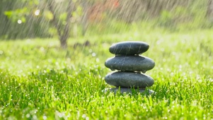 雨中绿草石头
