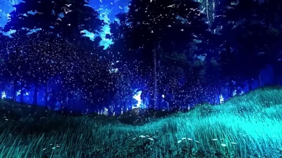 夜晚森林草地