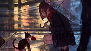 治愈动漫少女和猫
