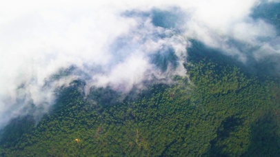 高山云雾