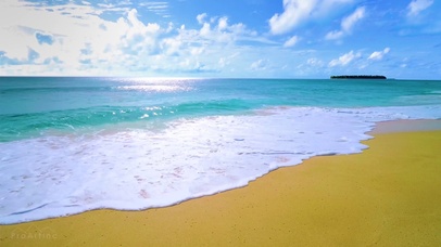 4k 海滩
