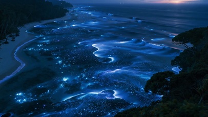 海浪