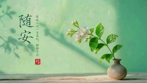 国风清新随安