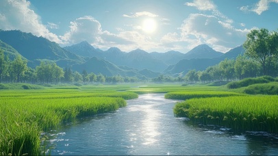 阳光清新绿色水田