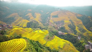 梯田全景