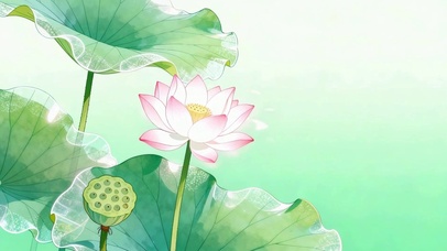 荷塘