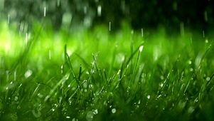 雨季