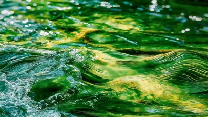 绿水荡漾