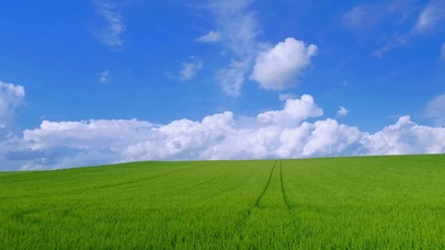 蓝天白云草地