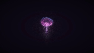 深海水母