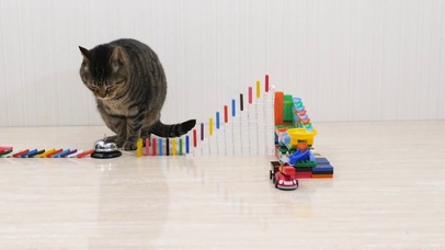 猫咪与多米诺骨牌