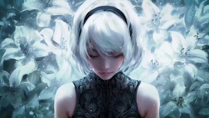 尼尔机械纪元2B