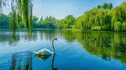 护眼绿景小清新