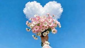 捧一束花 赴一场浪漫