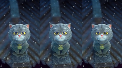 斑布猫-星空猫吻鱼