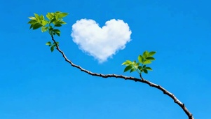 蓝天心形云朵树枝