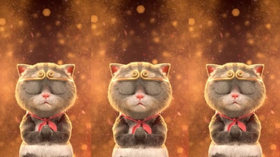 斑布猫-大话西游