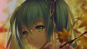 枫叶少女