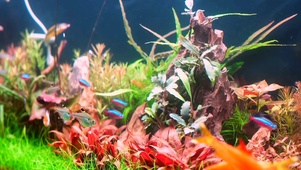 水族馆1