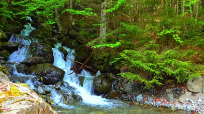 4K清晰山间溪流