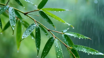 护眼竹林绿景双屏