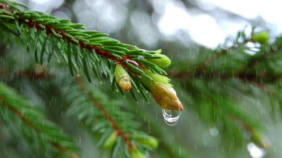 雨天水滴