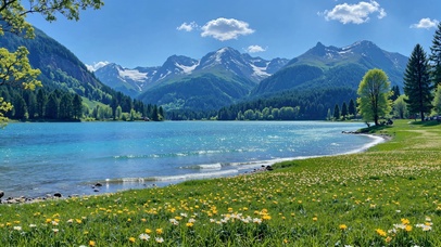 山湖间的春日绮梦（循环）