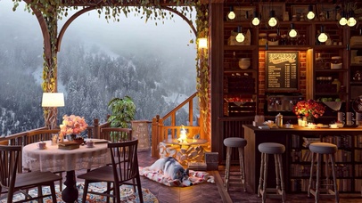 山中雪天哈士奇