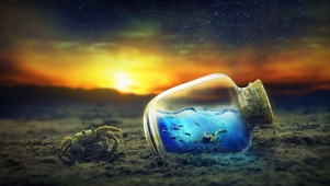 瓶中的海洋