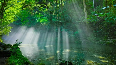 护眼幽静雾气流水
