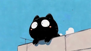 天台猫咪