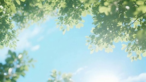 治愈天空