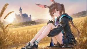 麦田里的阿米娅