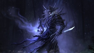 极地武士