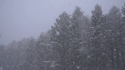 暴雪守护森林