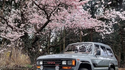 汽车