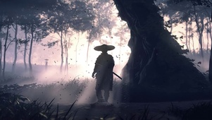 侠士