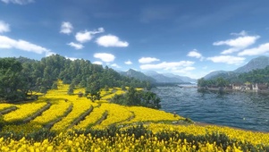 油菜花田