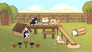 狗狗公园