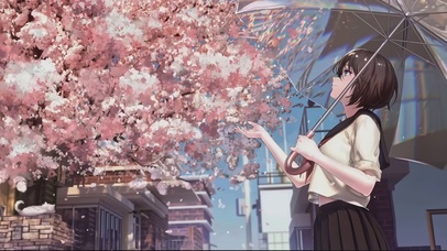 樱花落