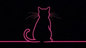 星光猫咪
