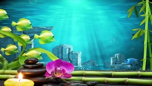 桌面水族馆