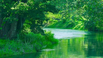 清凉绿林流水