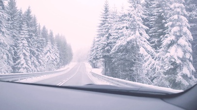 4K 高清 冷杉森林的路上行驶