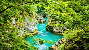 护眼山间小河4K