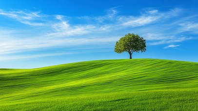 唯美的自然风景